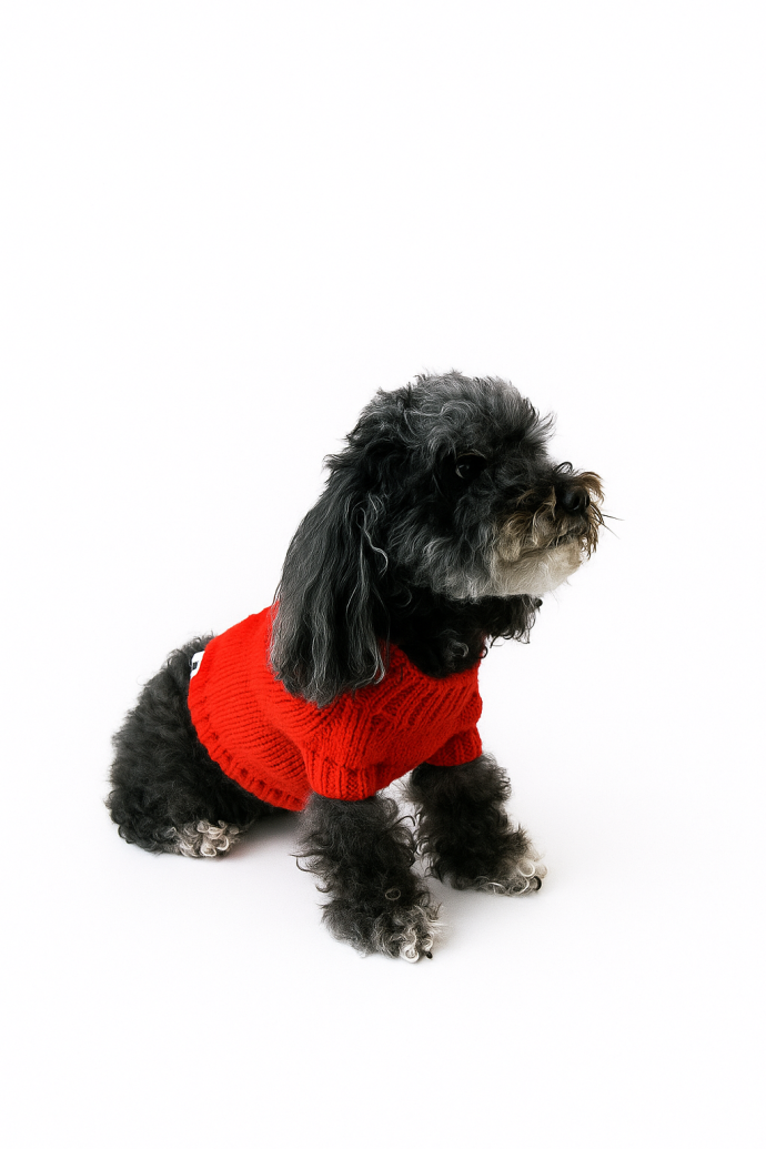 Sweater SASHA - p04 - Imagen 3